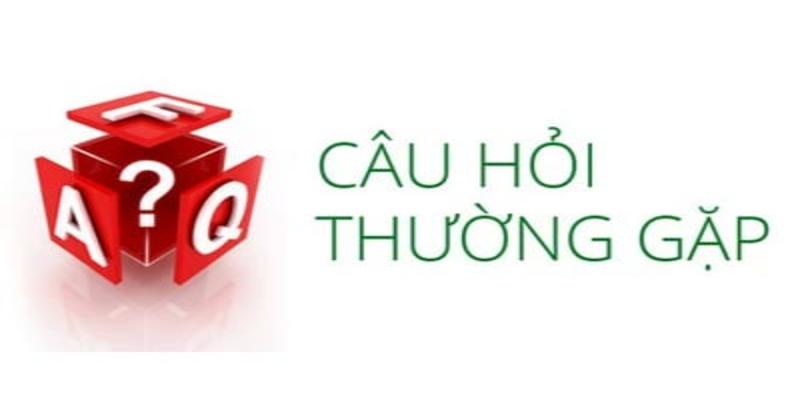 Các câu hỏi thường gặp liên quan đến giao dịch trên nền tảng