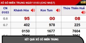 Tra Cứu Kết Quả Xổ Số Miền Trung Nhanh Chóng, Chính Xác